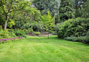 Optimiser l'expérience du jardin à Neuville-sur-Brenne